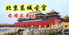啪啪大骚逼网中国北京-东城古宫旅游风景区